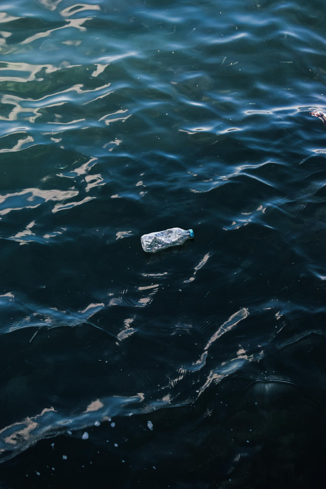 Plastic bottle floating on ocean water highlighting pollution issue. Environmental impact.