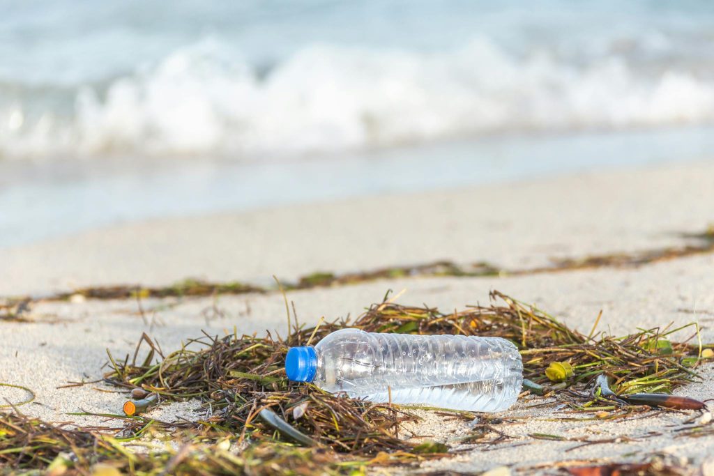 Plastic bottle littered on sandy beach, highlighting pollution and environmental issues.