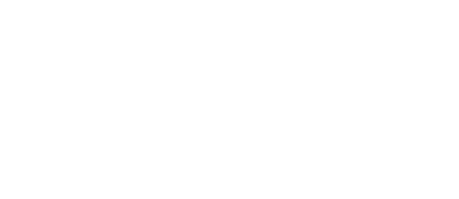 Ribfest X Logo